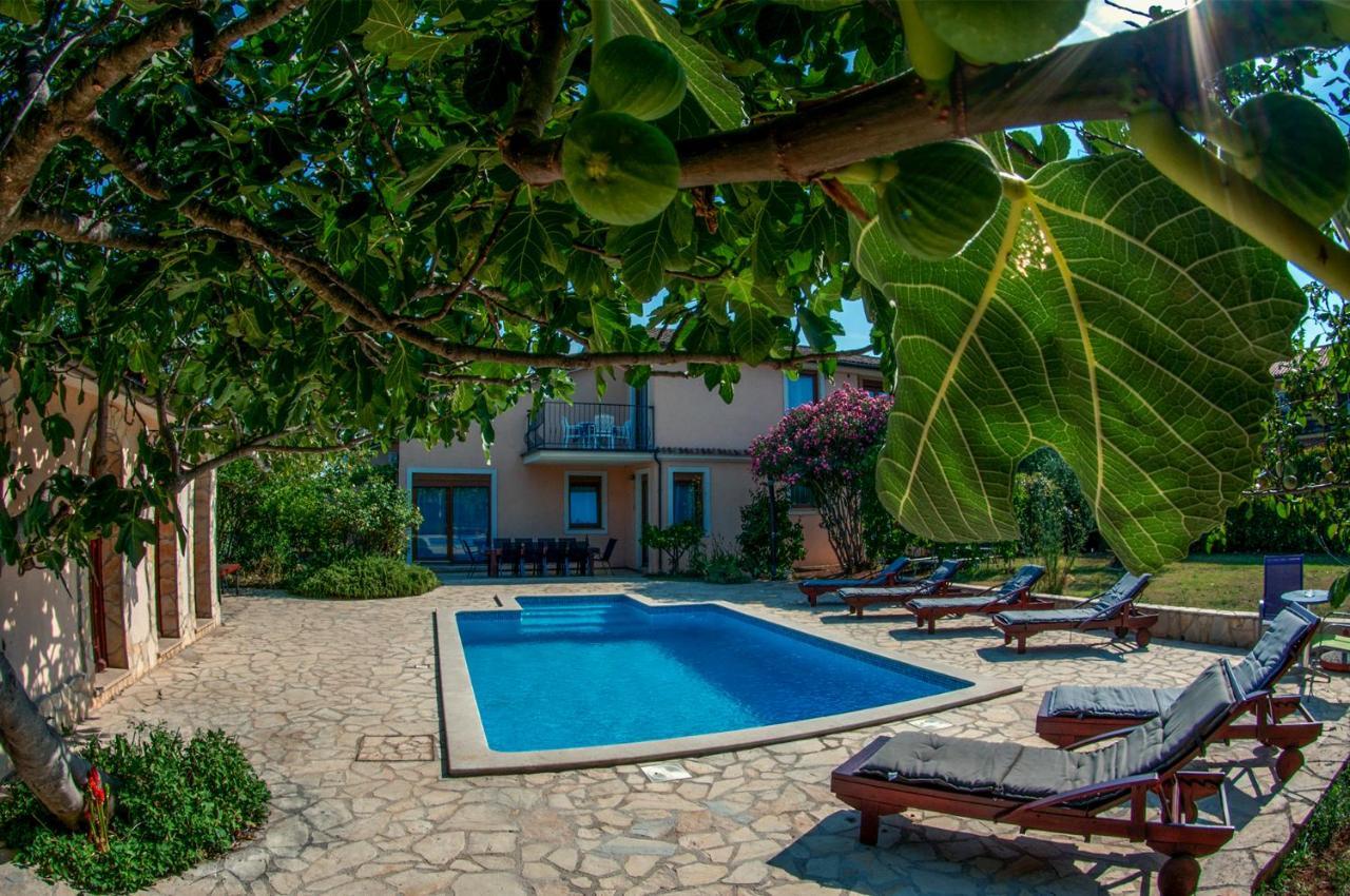 House /Villa Maja Ližnjan Buitenkant foto